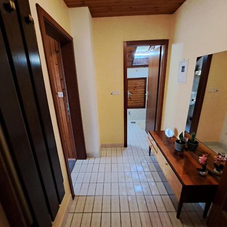 Studio Apartman Marijana Zadar Dış mekan fotoğraf