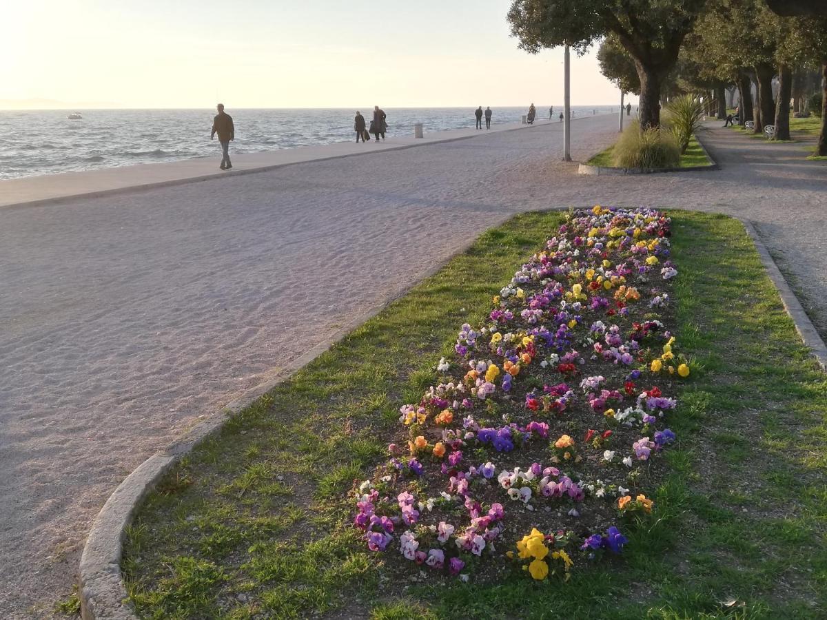 Studio Apartman Marijana Zadar Dış mekan fotoğraf